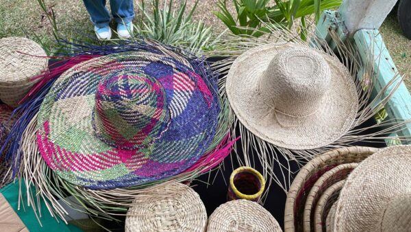 Artesanía en fibras y tintes naturales de la comunidad indigena de  quitirrisí (pueblo huetar)