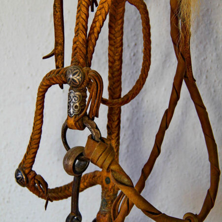 Horse riding gear and equipment