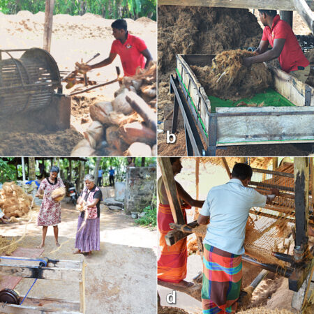 Coconut fibre and yarn making